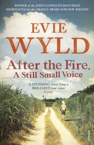 After the Fire, a Still Small Voice by Evie Wyld