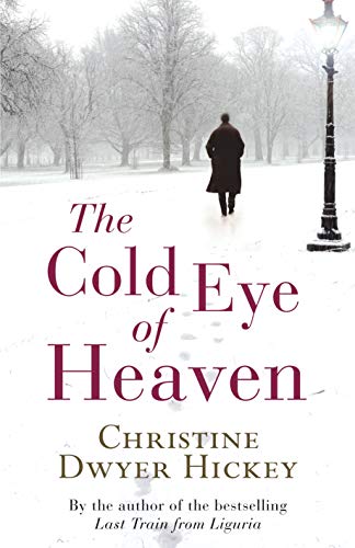 The Cold Eye of Heaven by Christine Dwyer Hickey