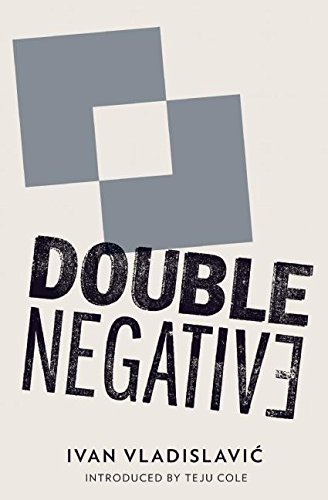 Double Negative by Ivan Vladislavic