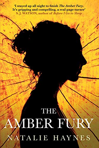 The Amber Fury by Natalie Haynes