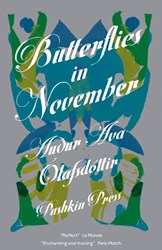 Butterflies in November by Auour Ava Olafsdottir