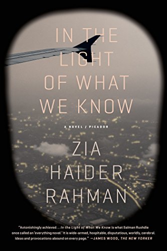 In the Light of What We Know by Zia Haider Rahman