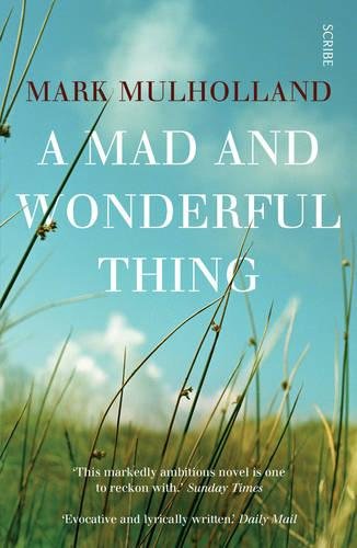 A Mad and Wonderful Thing by Mark Mulholland