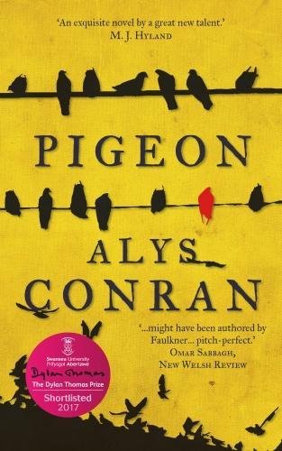 Pigeon by Alys Conran