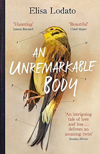 An Unremarkable Body by Elisa Lodato