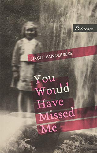 You Would Have Missed Me by Birgit Vanderbeke