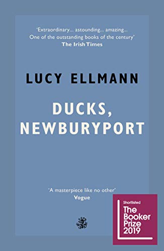 Ducks, Newburyport by Lucy Ellmann