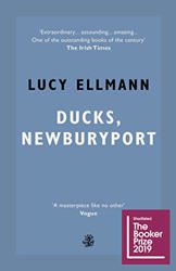 Ducks, Newburyport by Lucy Ellmann