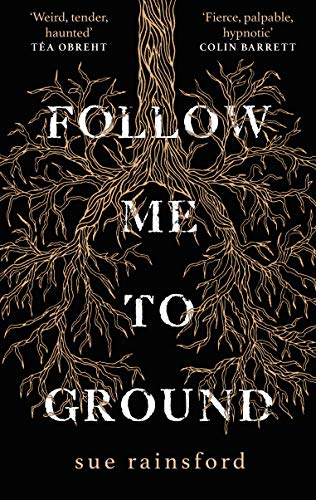 Follow Me to Ground by Sue Rainsford