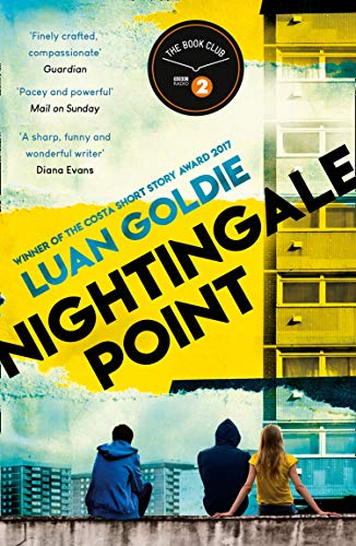 Nightingale Point by Luan Goldie