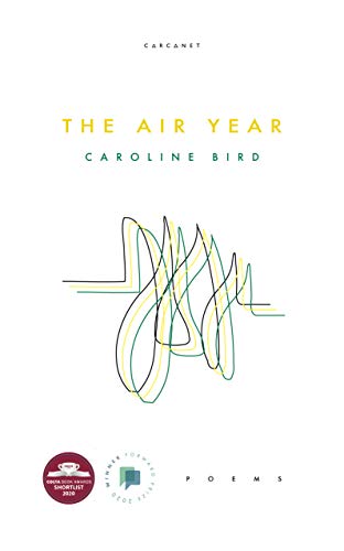 The Air Year by Caroline Bird