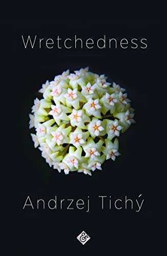 Wretchedness by Andrzej Tichy