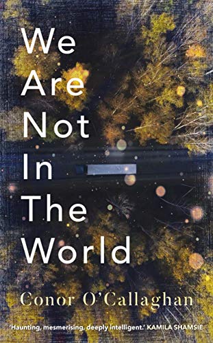 We Are Not in the World by  Conor O'Callaghan