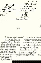 The Roof Beneath Their Feet by Geetanjali Shree