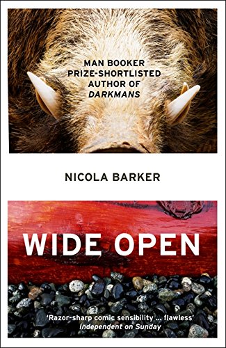 Wide Open by Nicola Barker