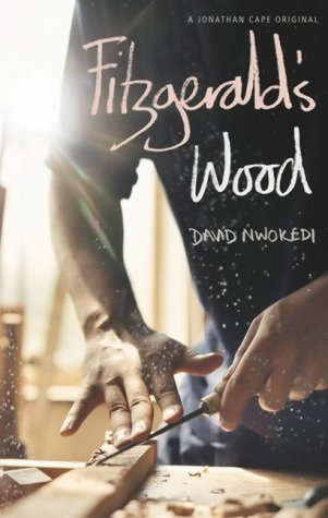 Fitzgerald's Wood by David Nwokedi