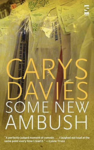 Some New Ambush by Carys Davies